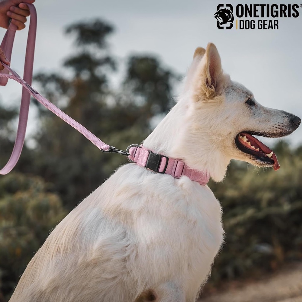 OneTigris Tactical Dog Collar w/Free Dog Toy Gift (PRICE FIRM)